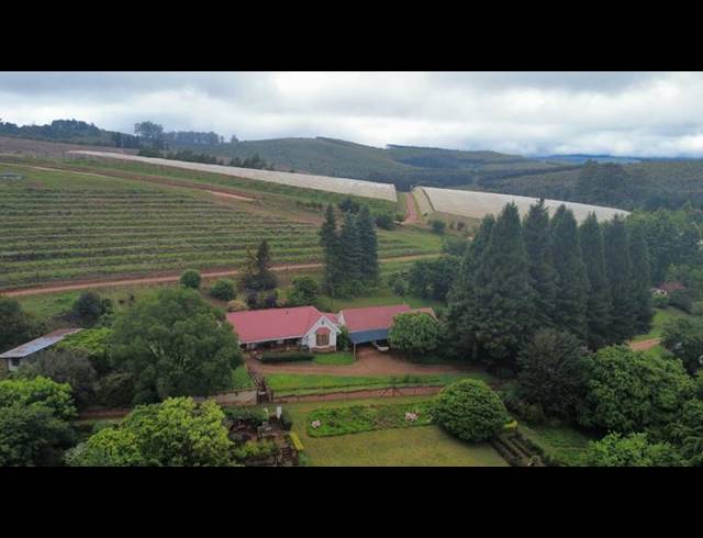 FARM FOR SALE IN TZANEEN RURAL